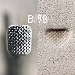 Raznice B198