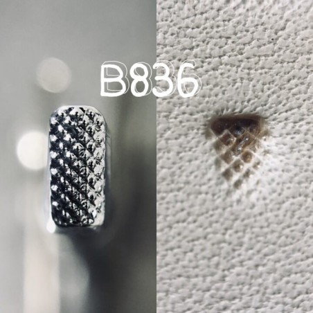Raznice B836