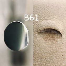Raznice B61