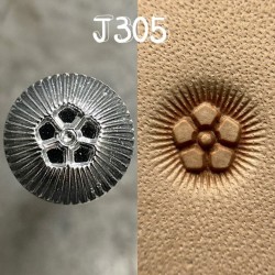 Raznice J305