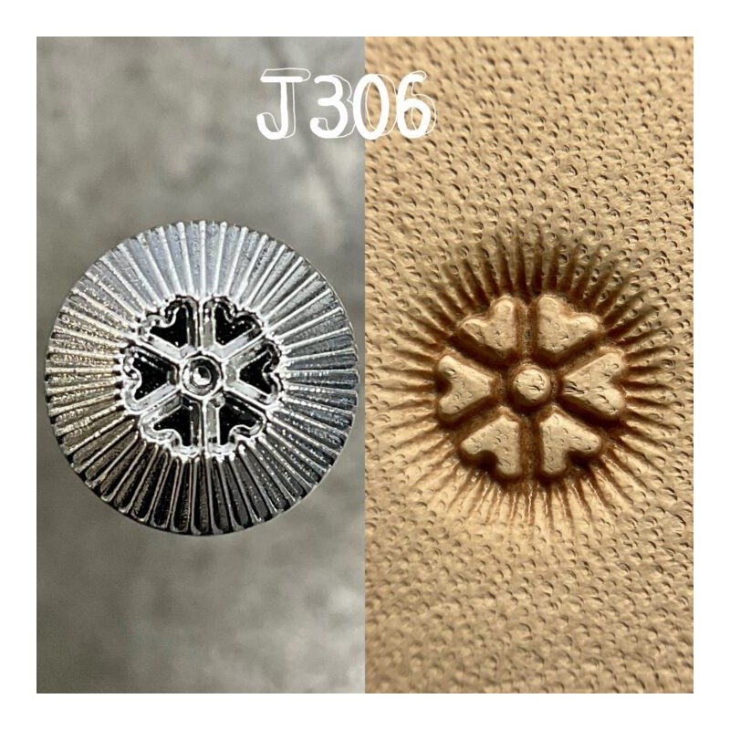 Raznice J306